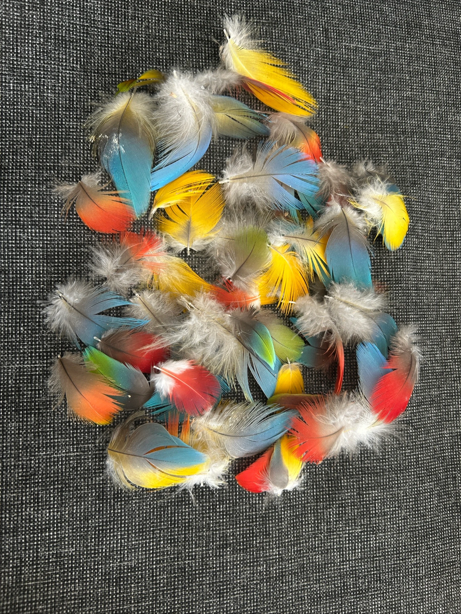 Plumas de pato naturales de la marca Rui – photo 2